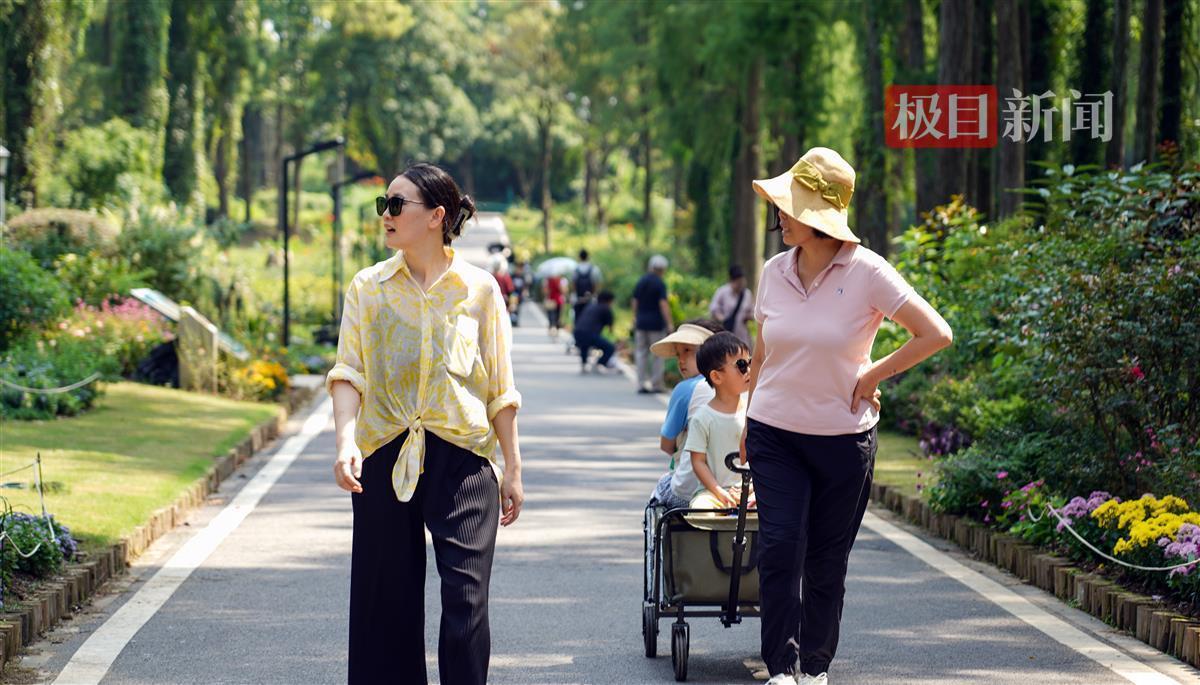 新匍京娱乐场登陆网站